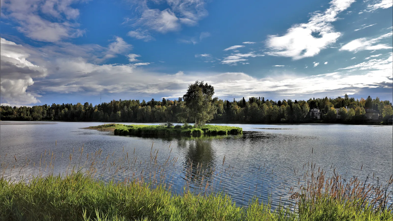 A small tree-covered island in Westchester Lagoon, Anchorage, in September