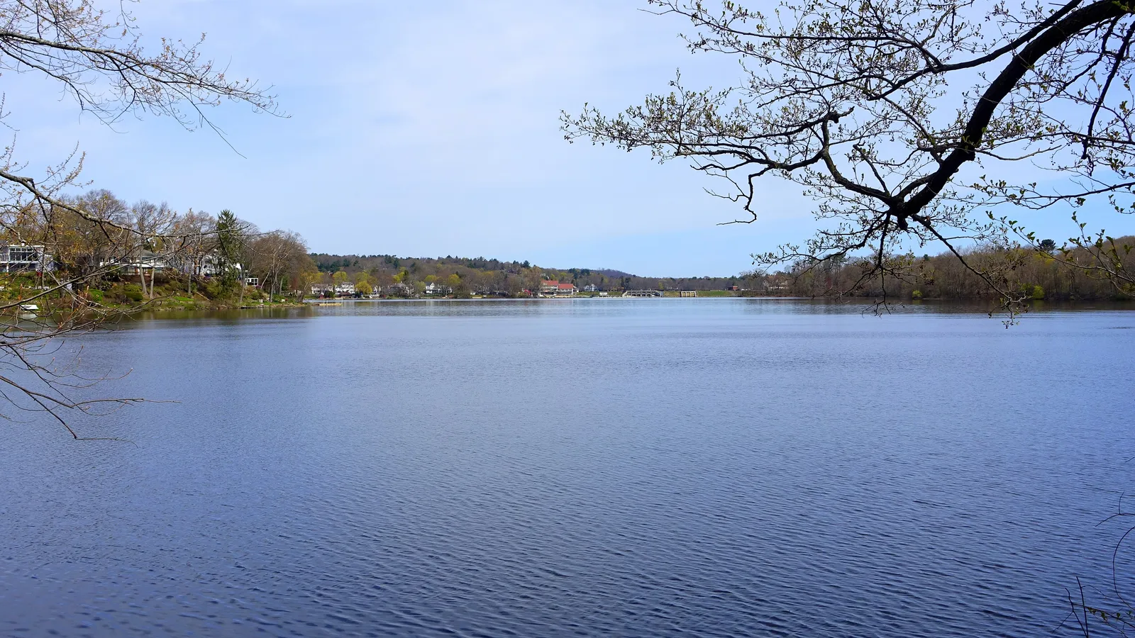A wooded point on the calm water of Lower Mystic Lake in spring