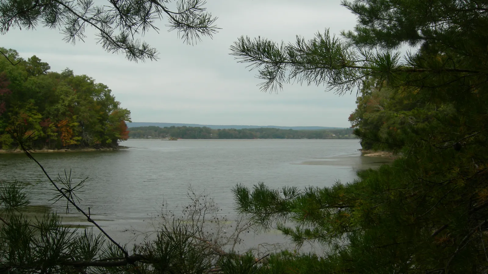 Chickamauga Lake seen through pine branches at Harrison Bay State Park
