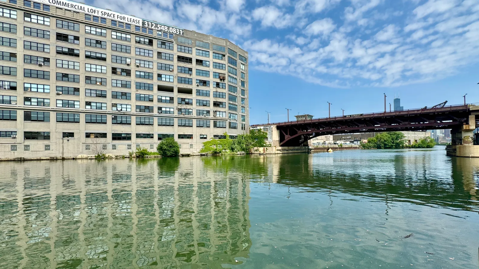 Calm water on the South Branch of the Chicago River beside Ping Tom Memorial Park in Chinatown