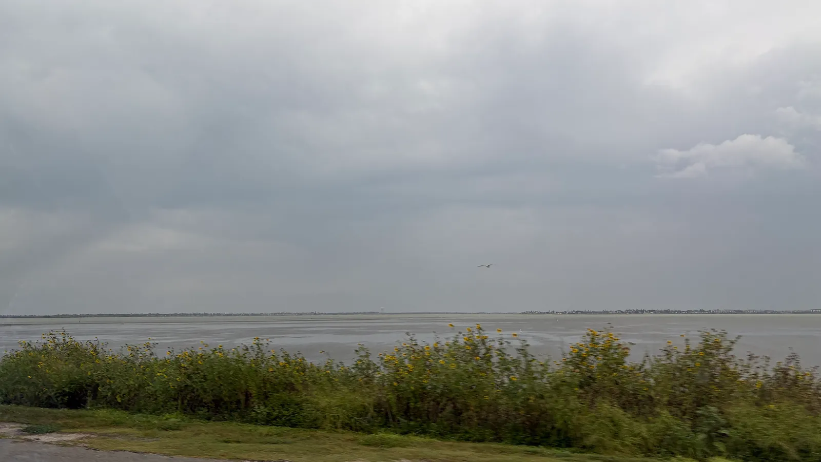 Oso Bay under grey skies, seen from the shore in Corpus Christi