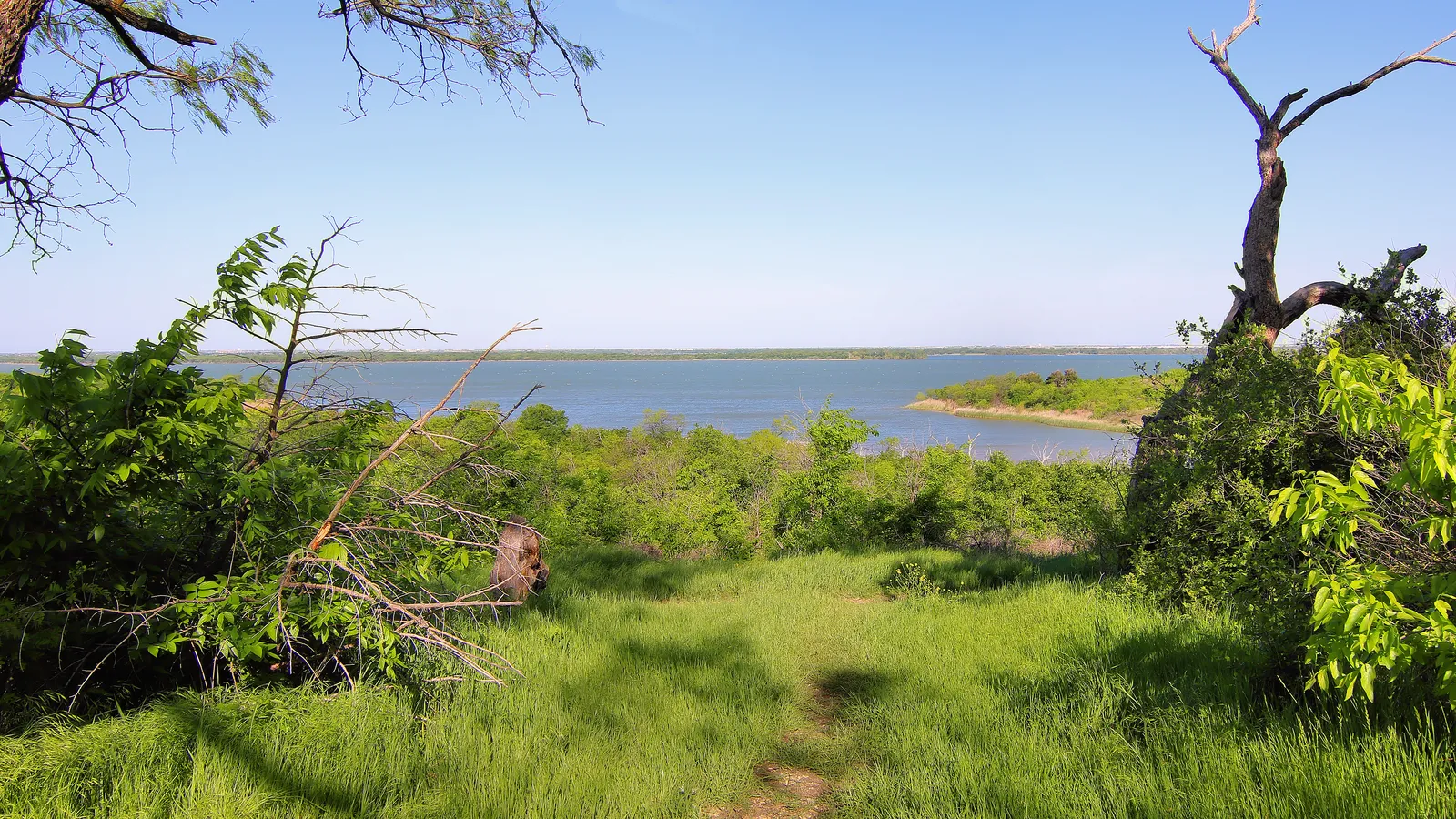 Joe Pool Lake seen through trees from an overlook in Cedar Hill State Park