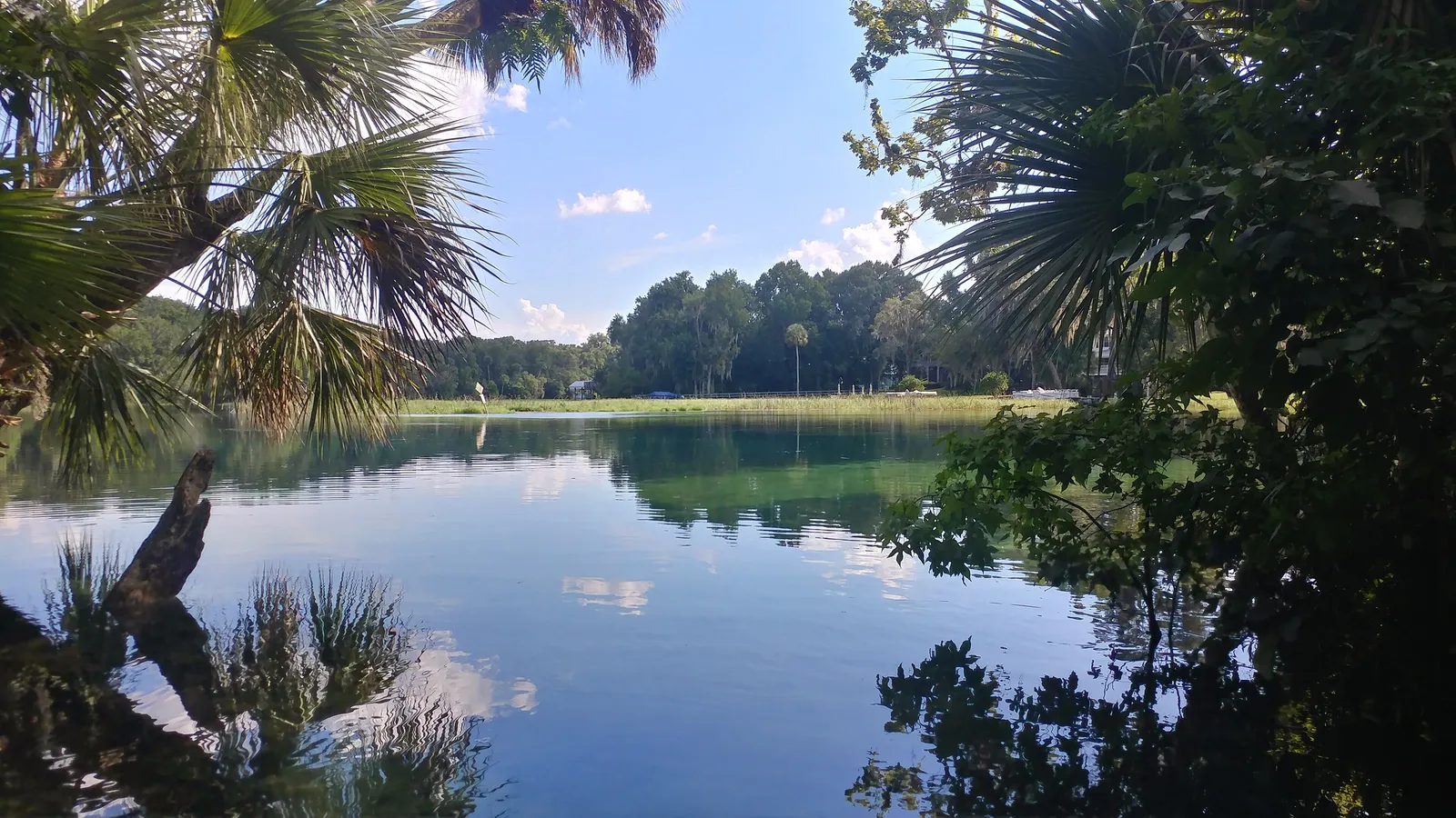 The calm Rainbow River framed by palm fronds, seen from a kayak