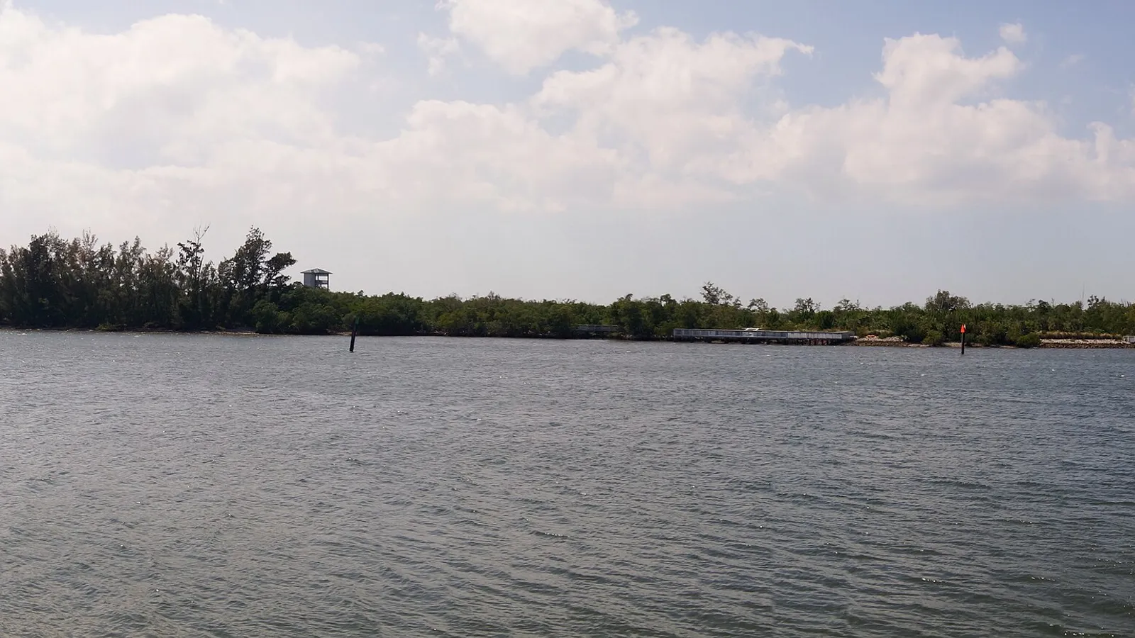 Open water and a long mangrove shoreline at West Lake Park in Hollywood