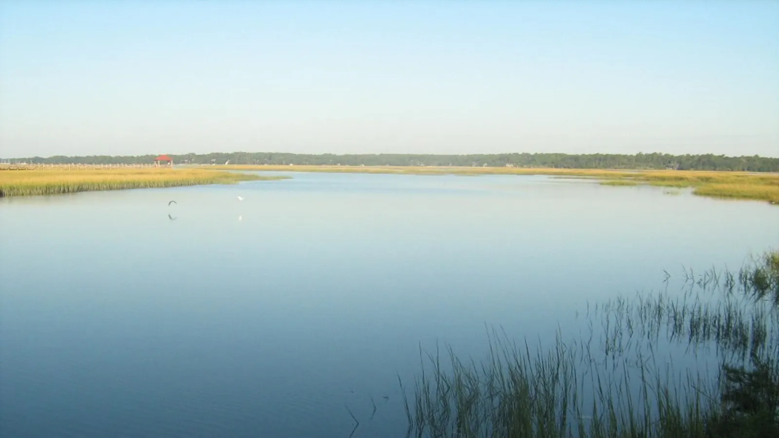 Calm water and spartina marsh on Broad Creek, Hilton Head Island, early in the morning