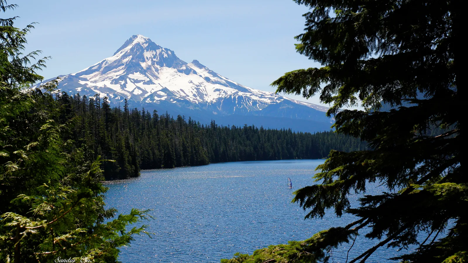 Mount Hood rising above Lost Lake, framed by fir trees