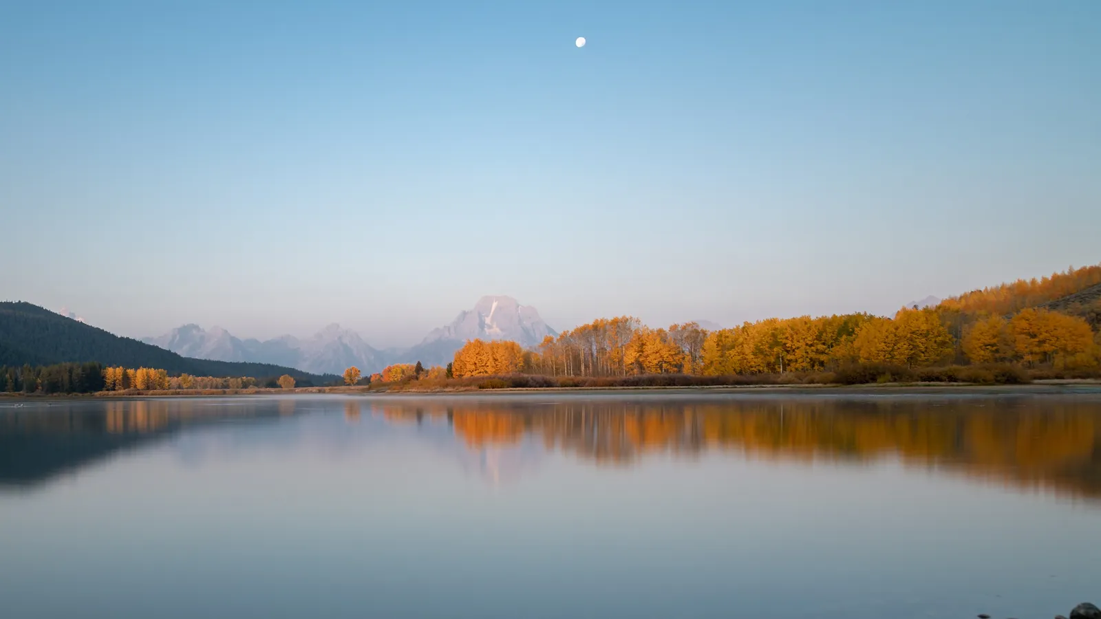 Calm water and golden fall aspens at Oxbow Bend on the Snake River, with Mount Moran in the distance