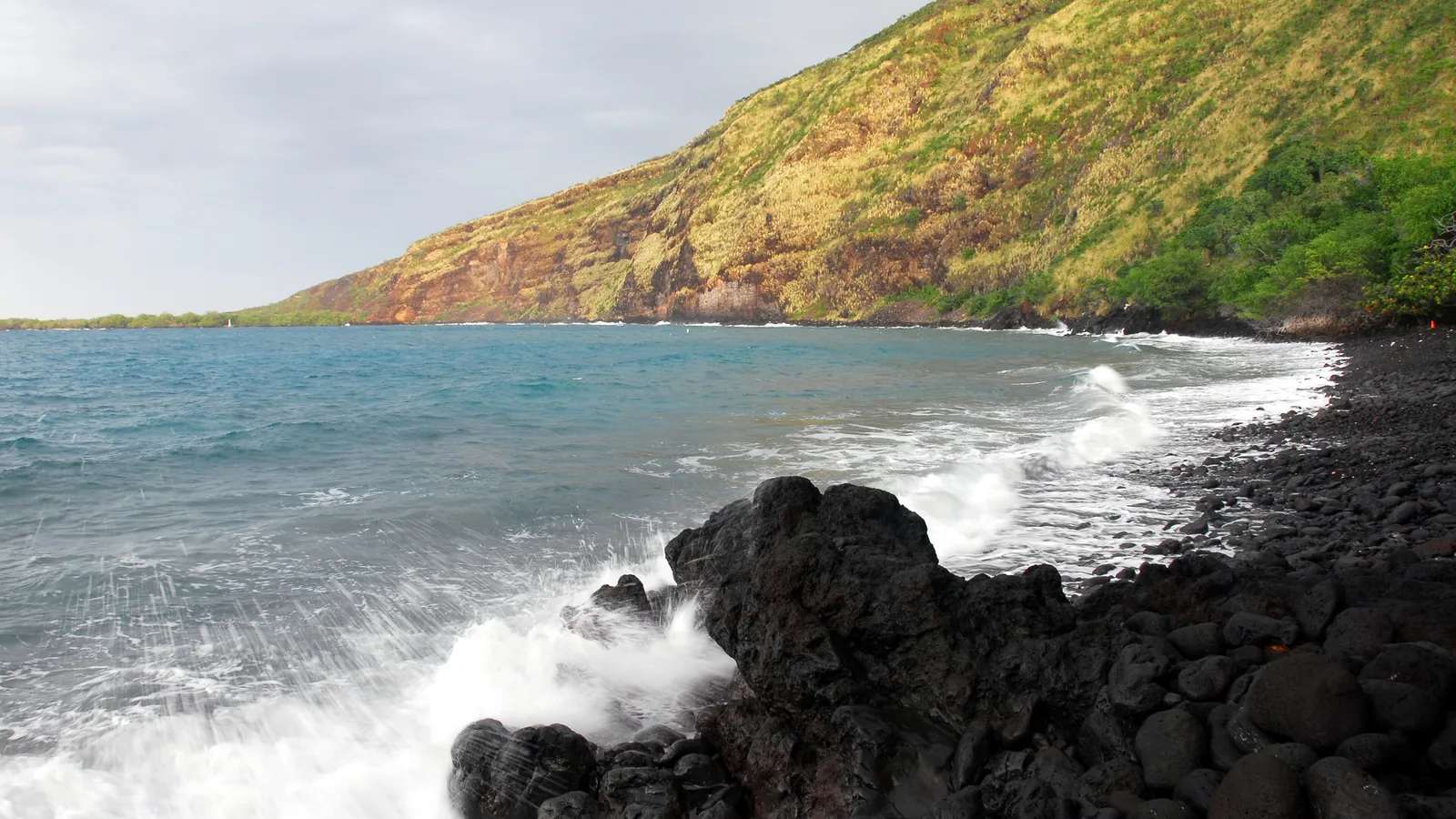 The steep green cliffs and lava-rock shore of Kealakekua Bay