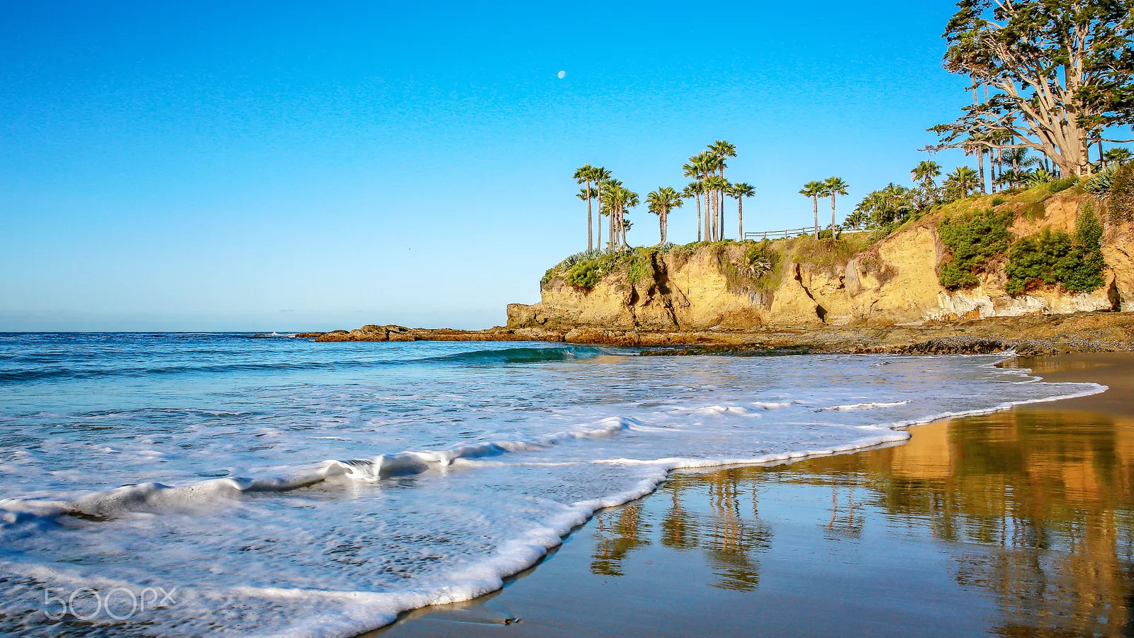 Early morning at Shaw's Cove, with palm trees on the bluff and calm water on the sand