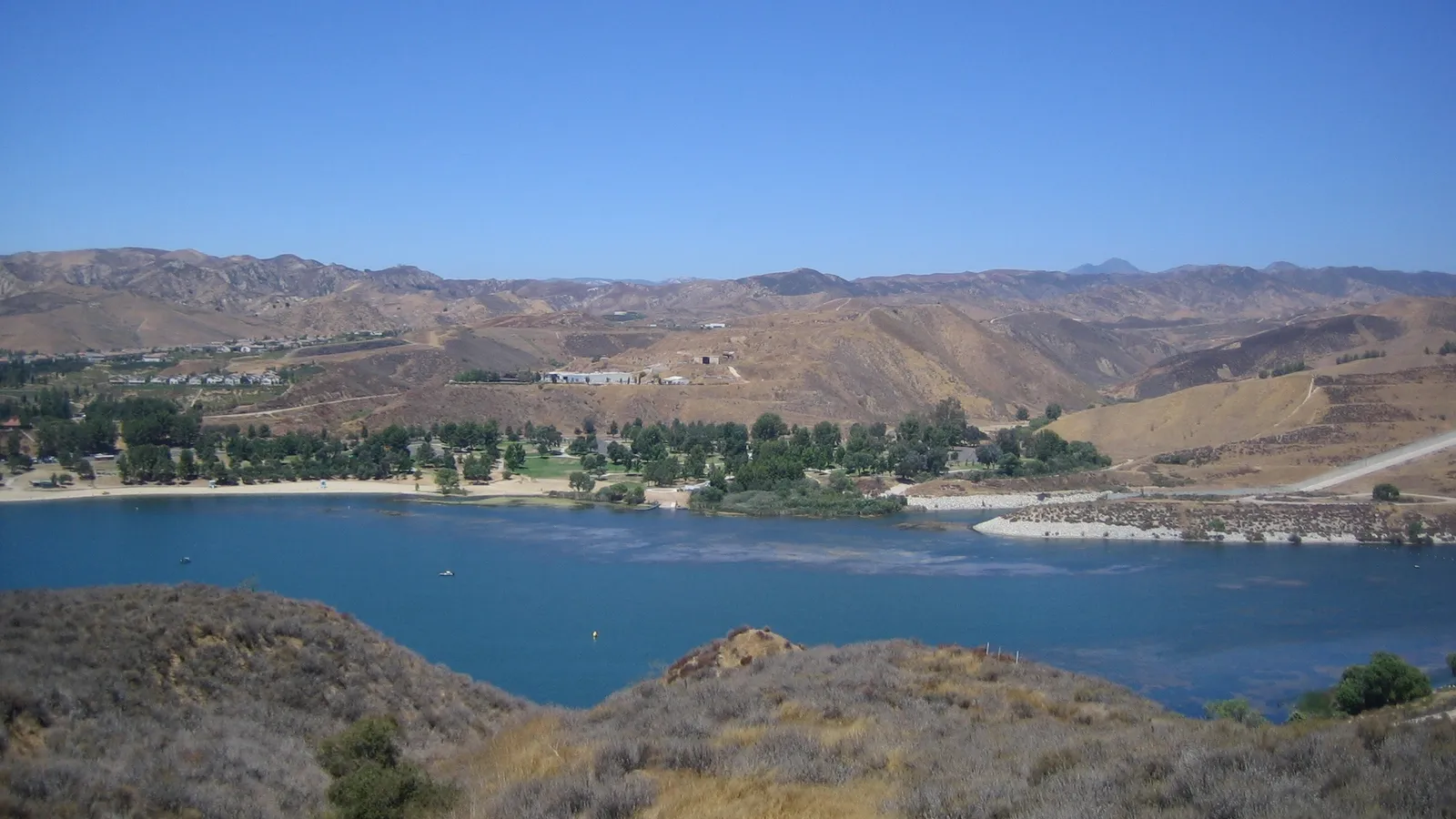 Blue water at Castaic Lake State Recreation Area, with a tree-lined beach and dry hills behind