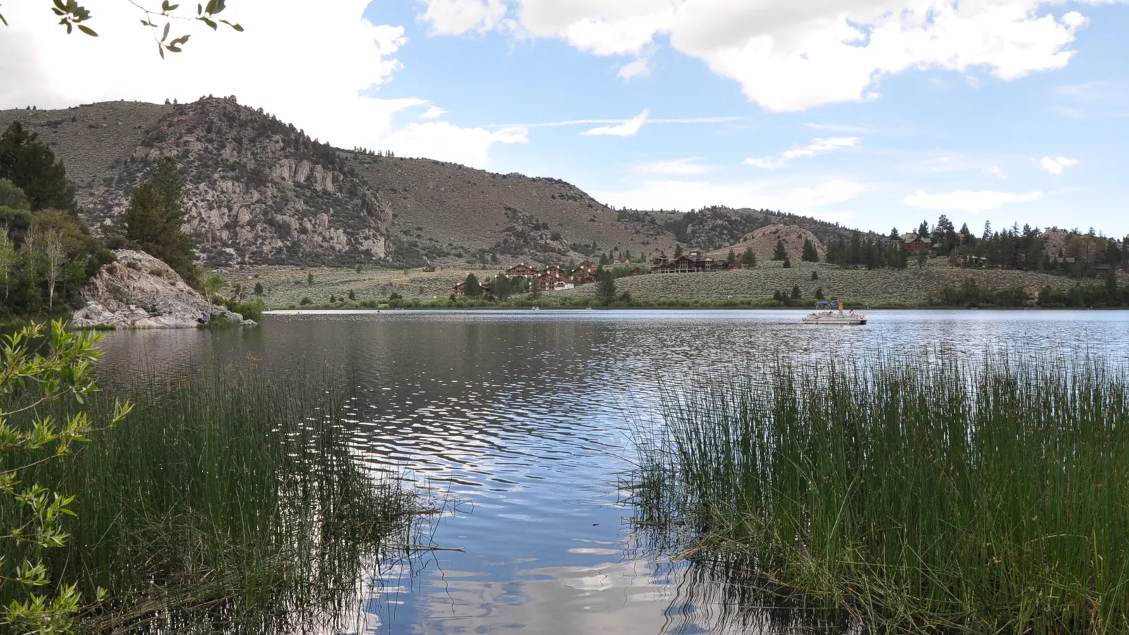 Reeds and calm water on Gull Lake, with granite hills behind
