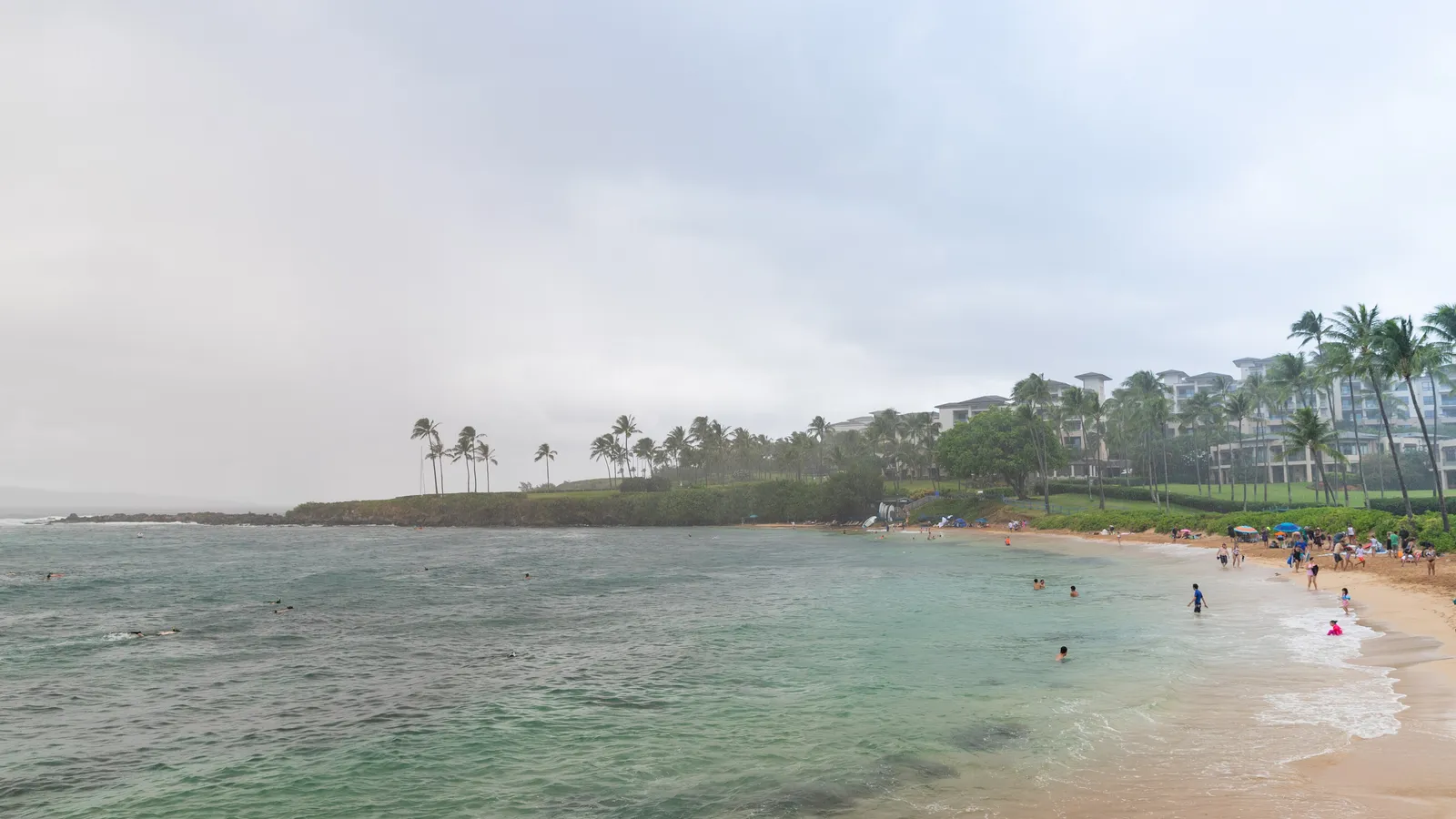 Swimmers in the calm, sheltered water of Kapalua Bay, ringed by palms