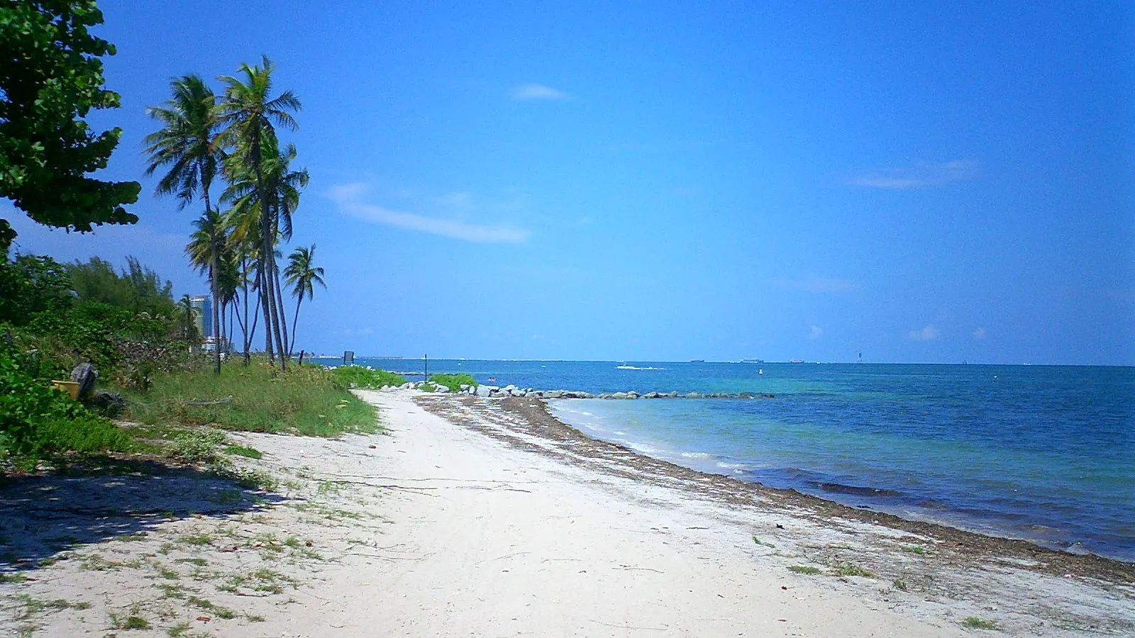 A quiet sandy beach and palms on Virginia Key, looking out over clear blue water