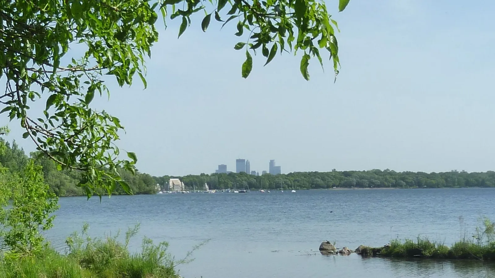Lake Harriet in summer, with the downtown Minneapolis skyline beyond the trees