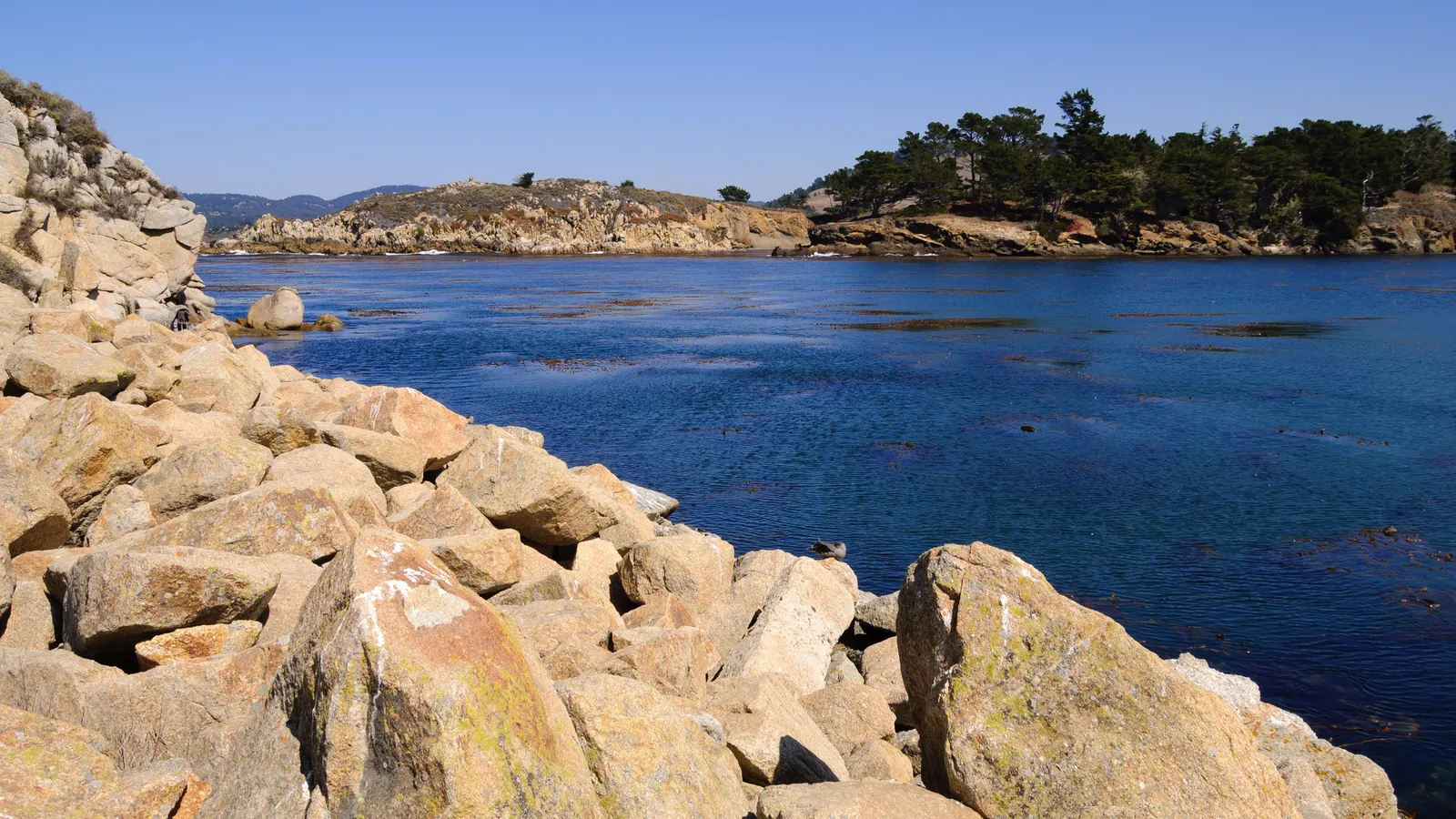 Deep blue water and granite shoreline in Whalers Cove at Point Lobos