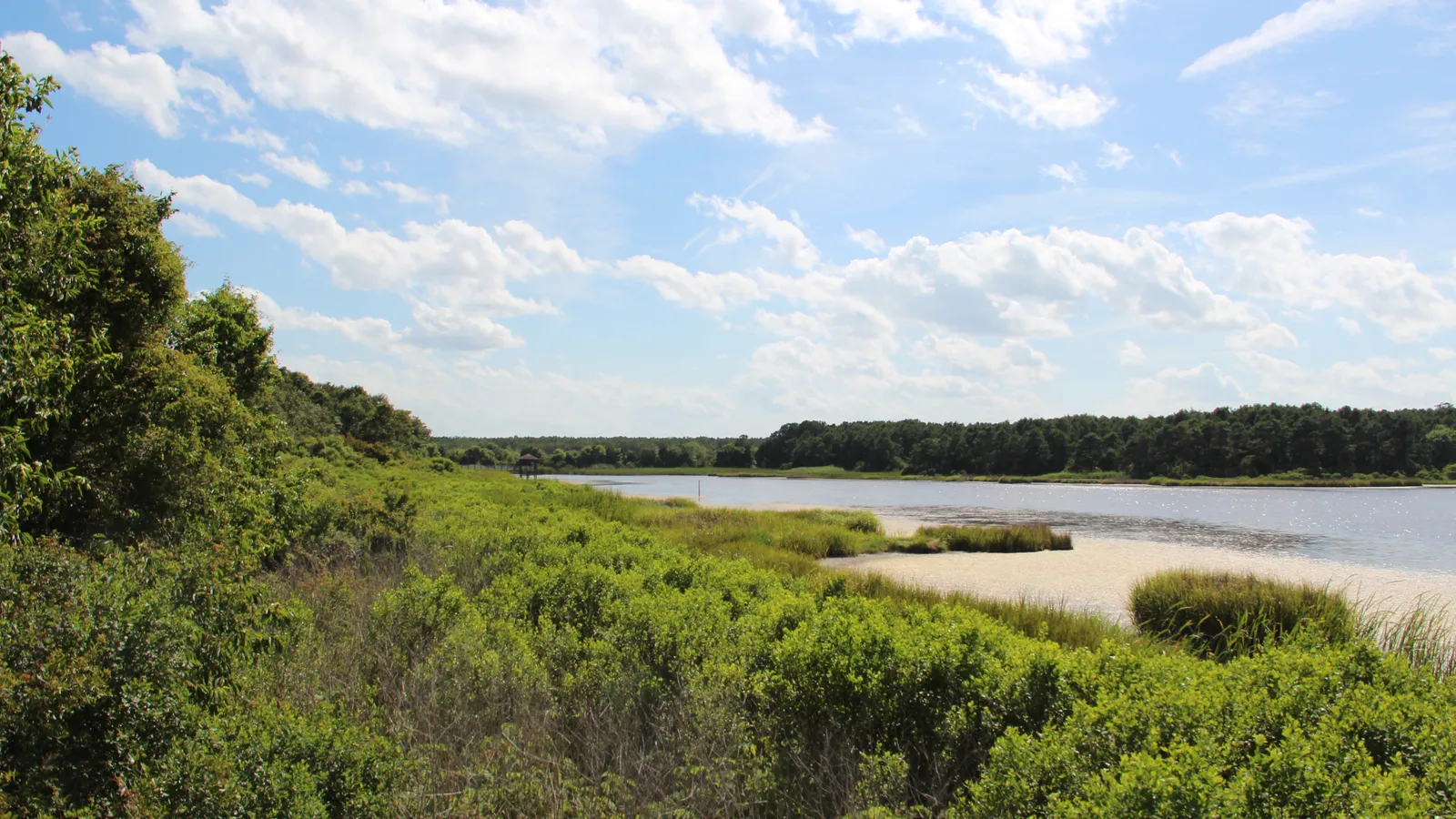 A sandy bank and calm water at the south end of Murrells Inlet