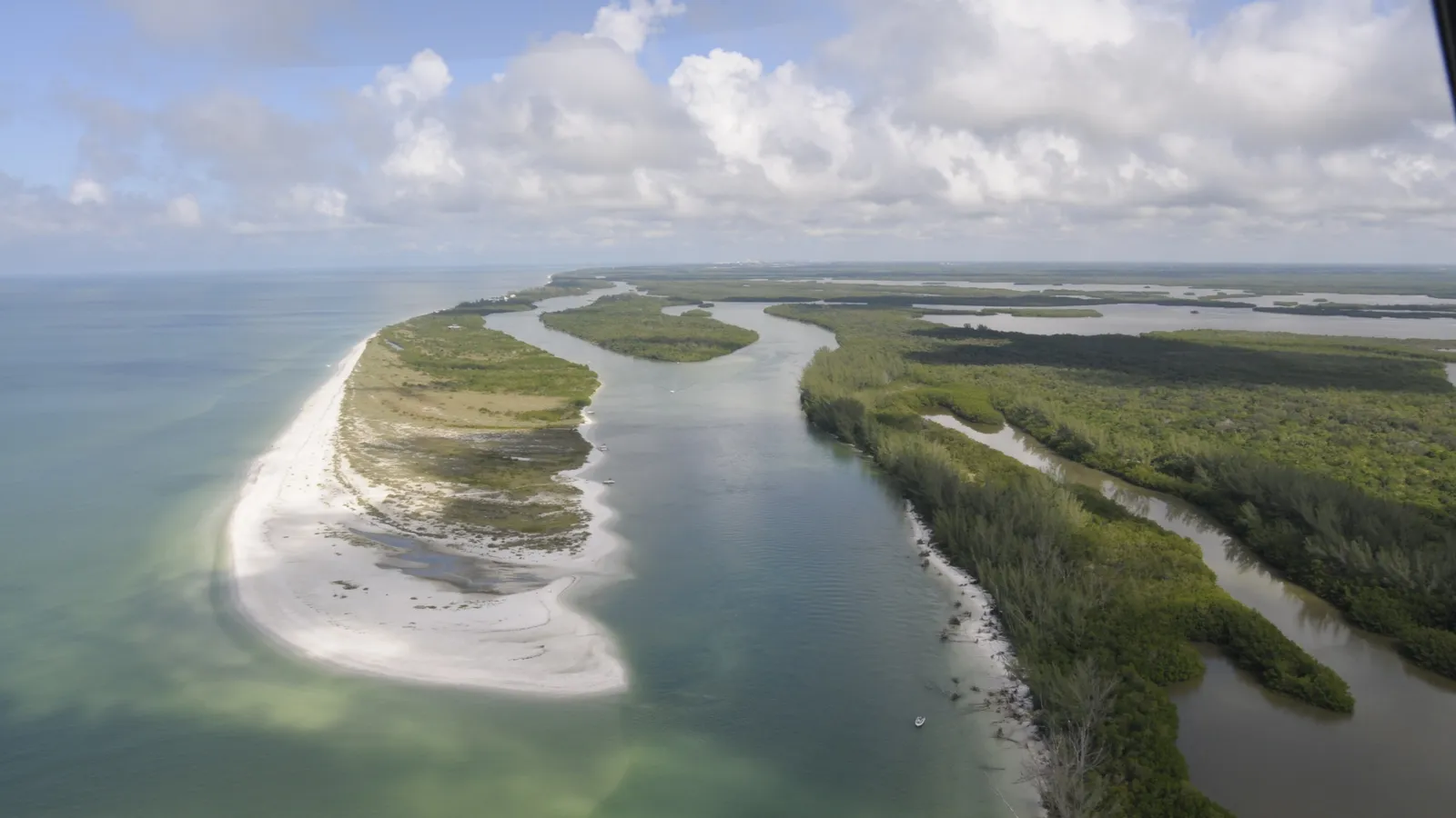 Aerial view of mangrove islands, sandbars and channels in Rookery Bay