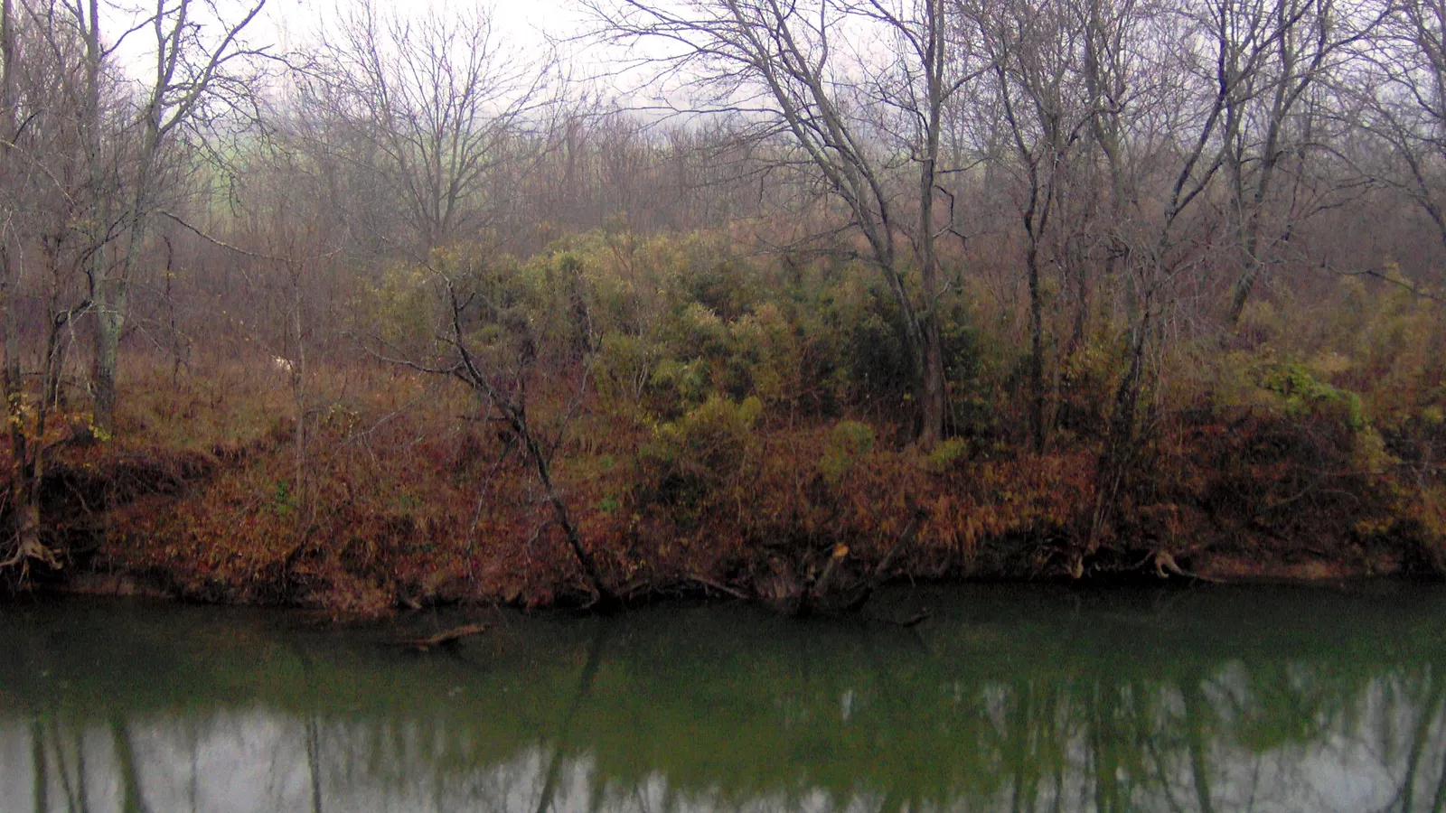 The Harpeth River flowing past a wooded bank in Harpeth River State Park