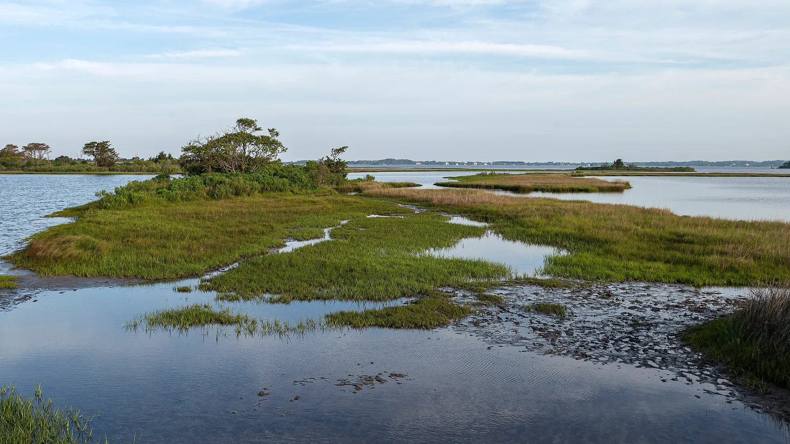Marsh islands and calm water on Sinepuxent Bay at Assateague Island National Seashore