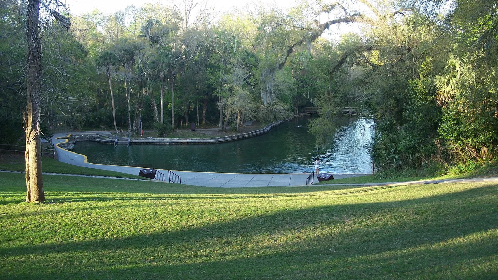 The spring swimming area at Wekiwa Springs State Park, ringed by lawn and trees