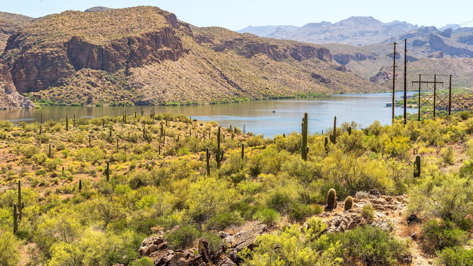 Canyon Lake winding between desert mountains, with saguaros on the slope in front