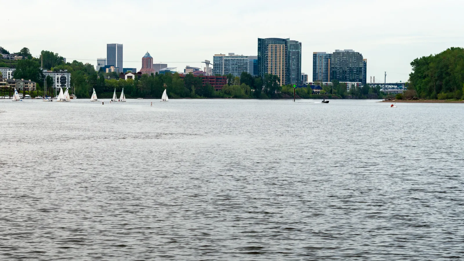 Sailboats on the Willamette River at Willamette Park, with the South Waterfront towers behind