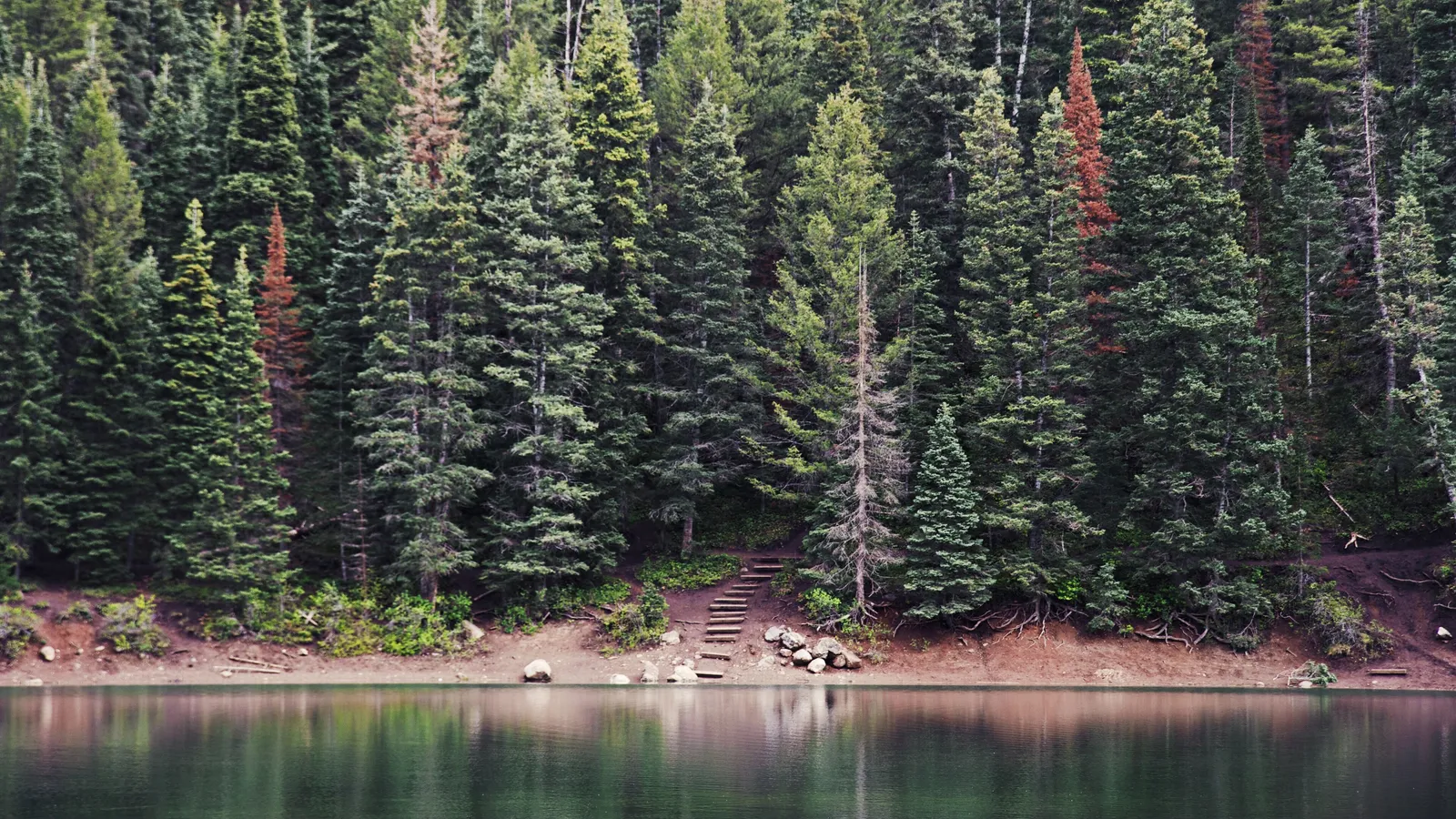 Still water at Tibble Fork Reservoir below a shore of tall spruce trees