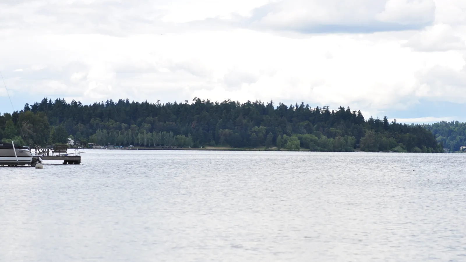 The forested Seward Park peninsula on Lake Washington