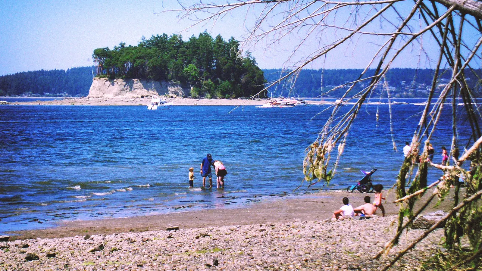 Cutts Island seen across the water from the beach at Kopachuck State Park