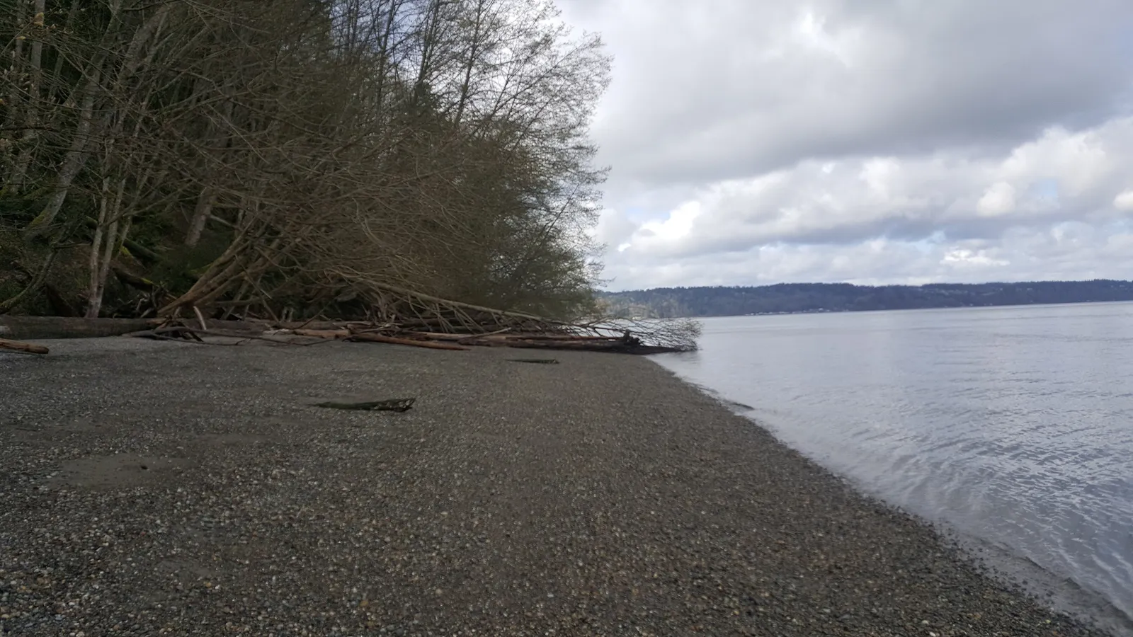Calm water along the pebble shoreline near Owen Beach in Point Defiance Park