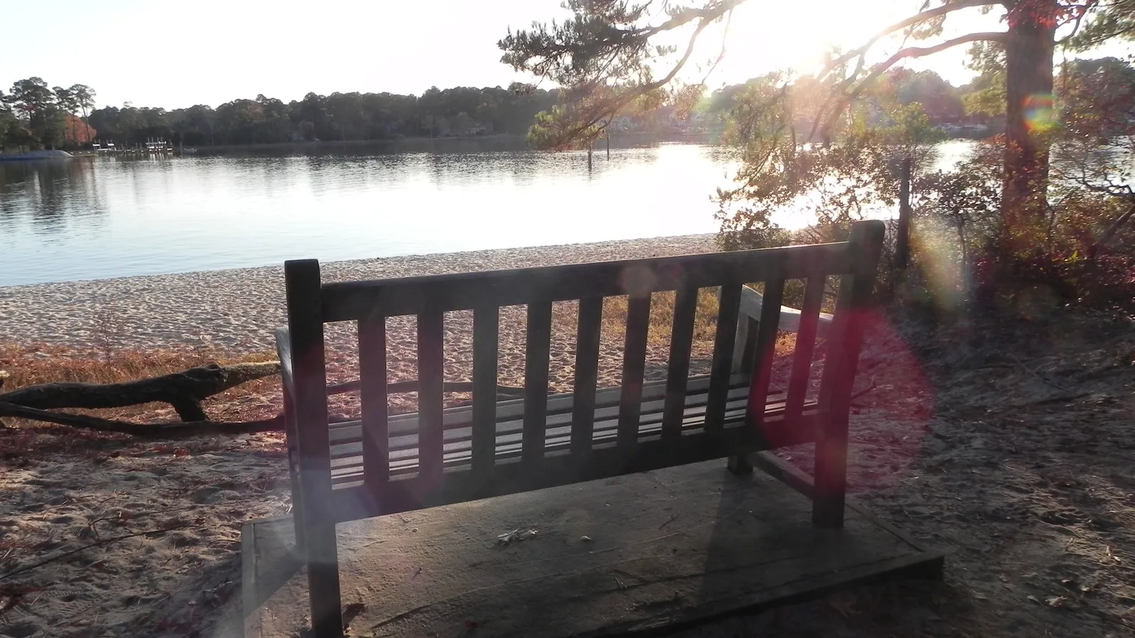 A bench on the sandy shore of Broad Bay in First Landing State Park