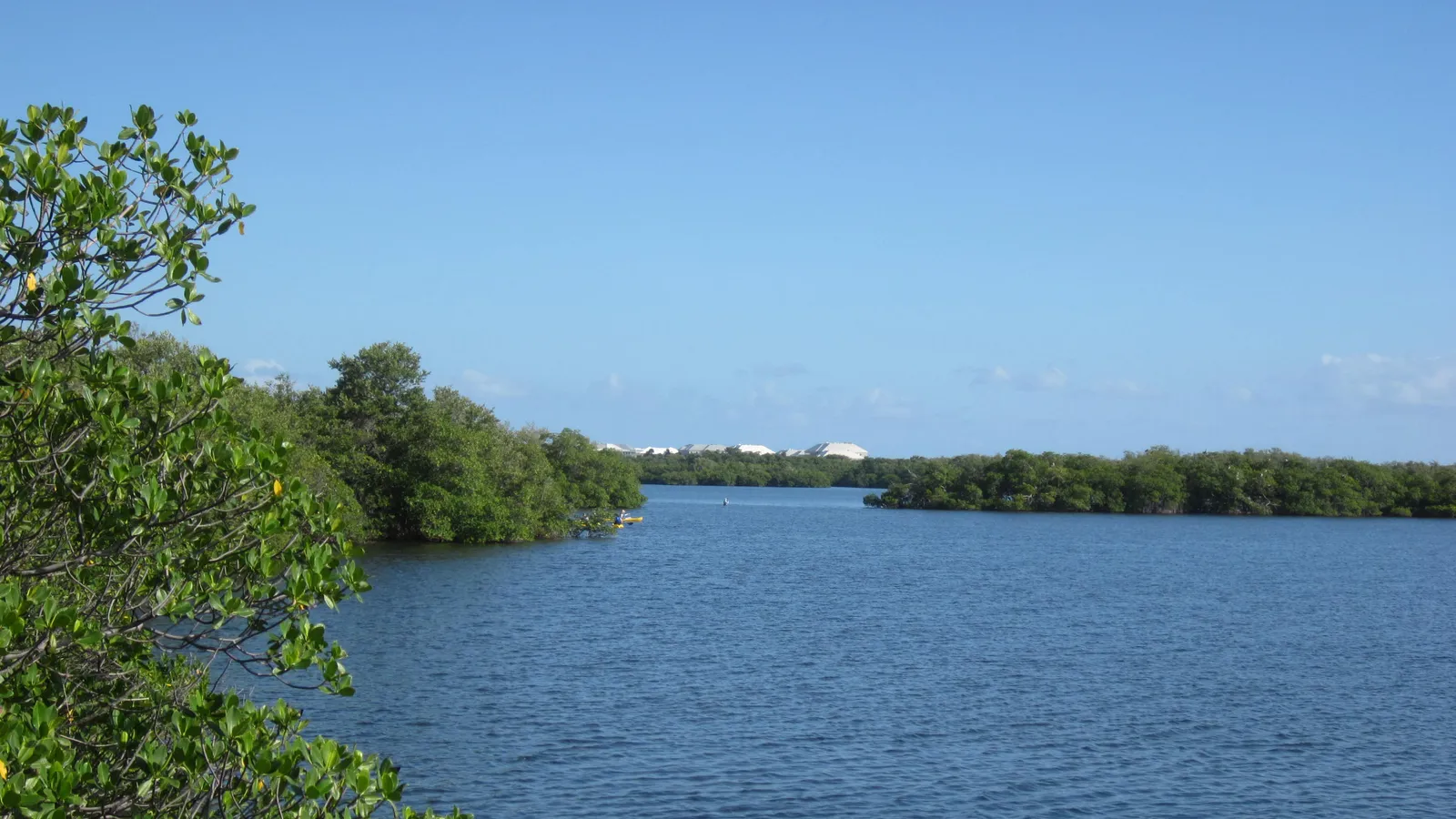 Calm blue water and mangrove islands on the Lake Worth Lagoon at MacArthur Beach State Park