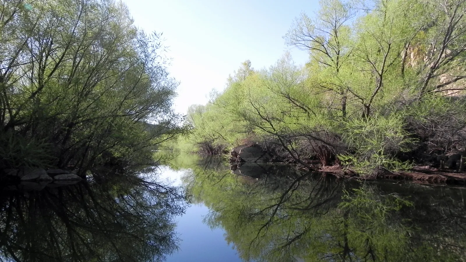 Trees reflected in still water at the upstream end of Quail Creek Reservoir