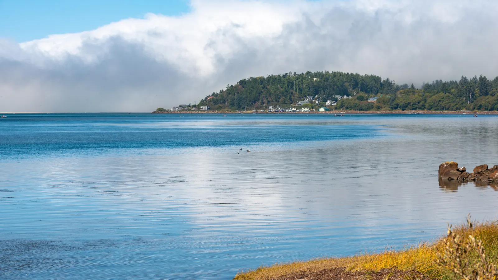 Blue water on Netarts Bay with the forested shore of Netarts behind