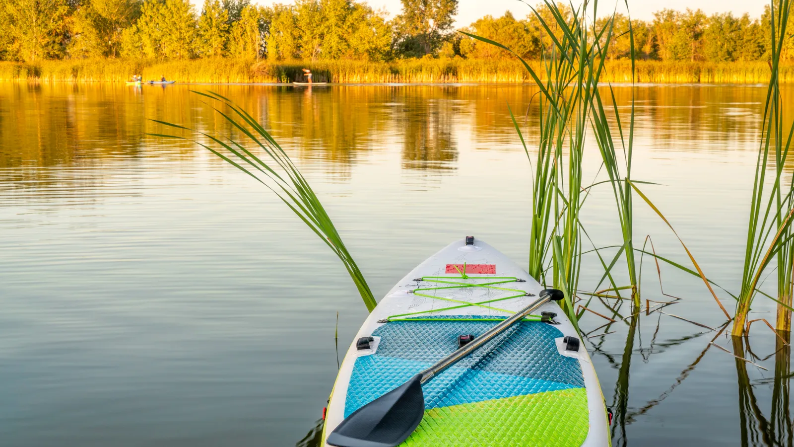 Choosing the right paddle board for paddleboarding with a dog
