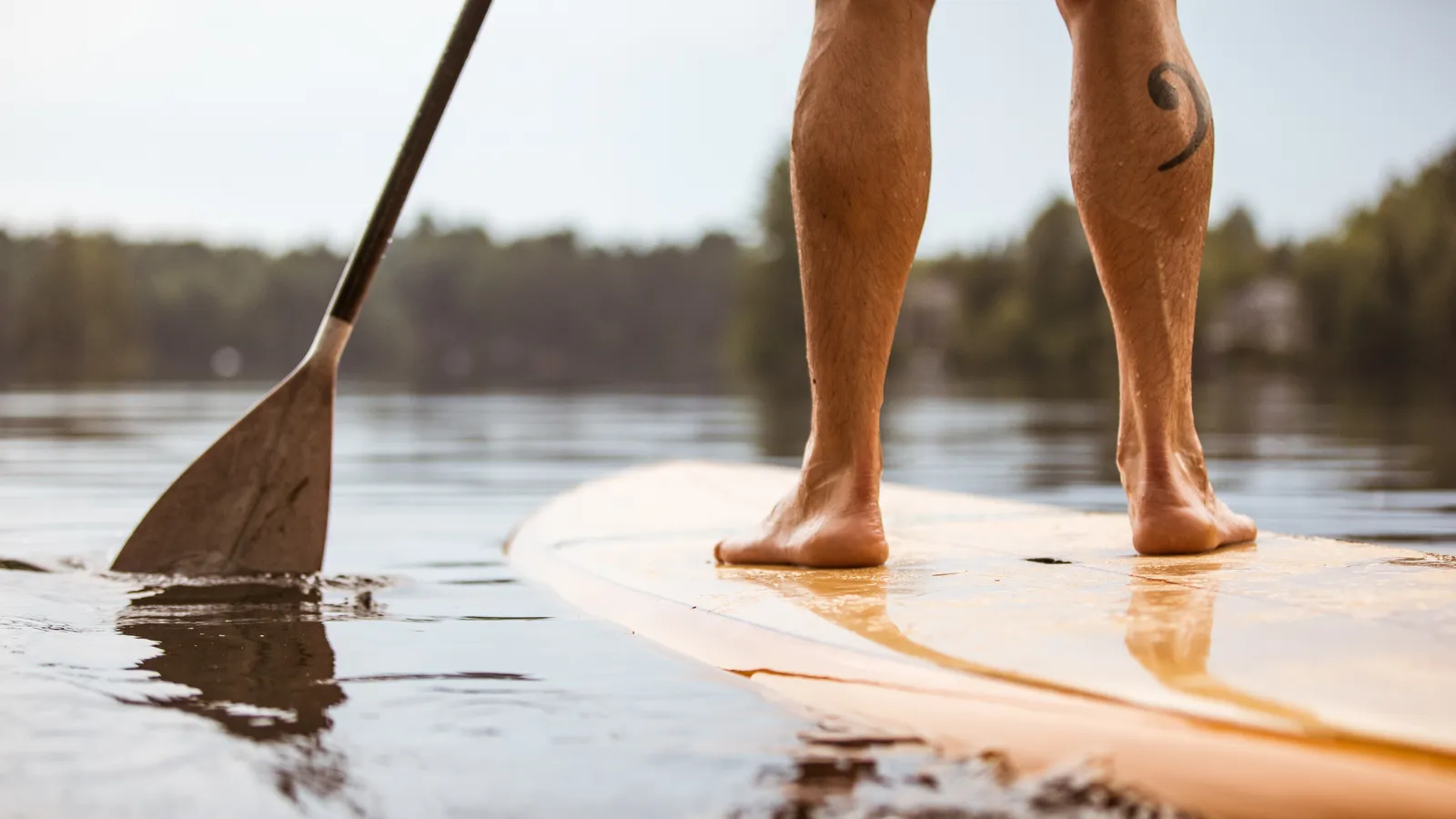 Leg muscles used for balance while paddle boarding
